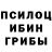 Псилоцибиновые грибы Psilocybe JikariZy