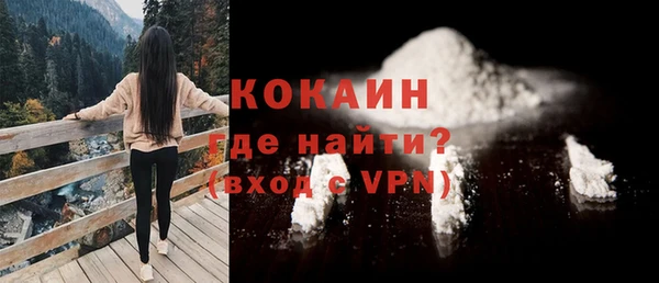 эйфоретик Пересвет