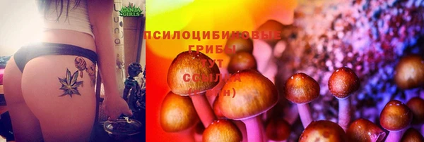 МДПВ Осташков