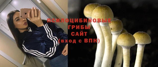 МДПВ Осташков