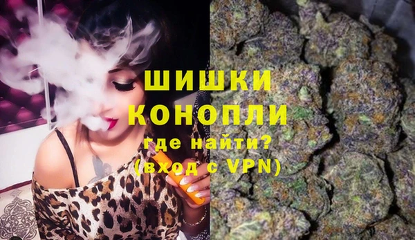 эйфоретик Пересвет
