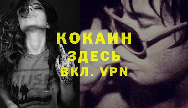 эйфоретик Пересвет