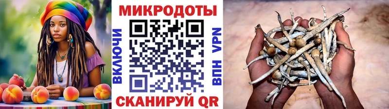 Псилоцибиновые грибы мухоморы  купить   Большой Камень 