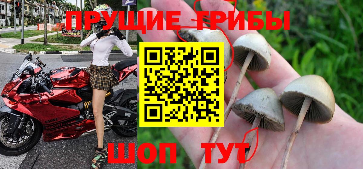 Большой Камень  Бошки Шишки  Вейп ТГК  Мефедрон   МЕФ кристаллы  ГАШИШ 