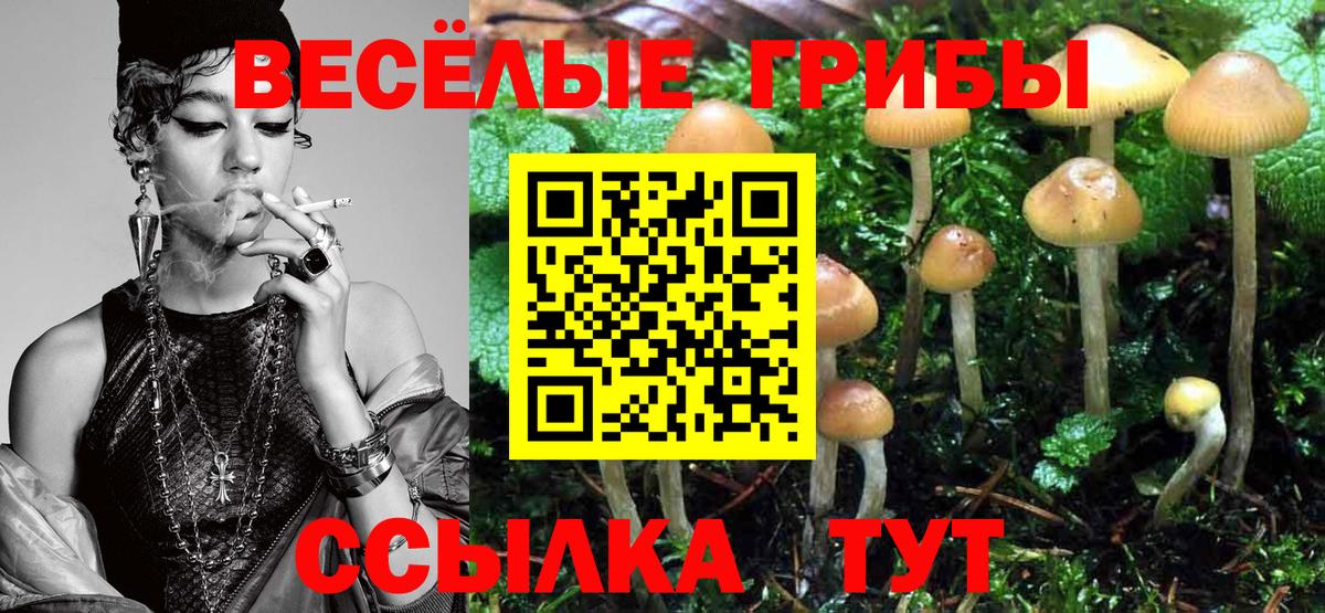 Галлюциногенные грибы GOLDEN TEACHER Большой Камень