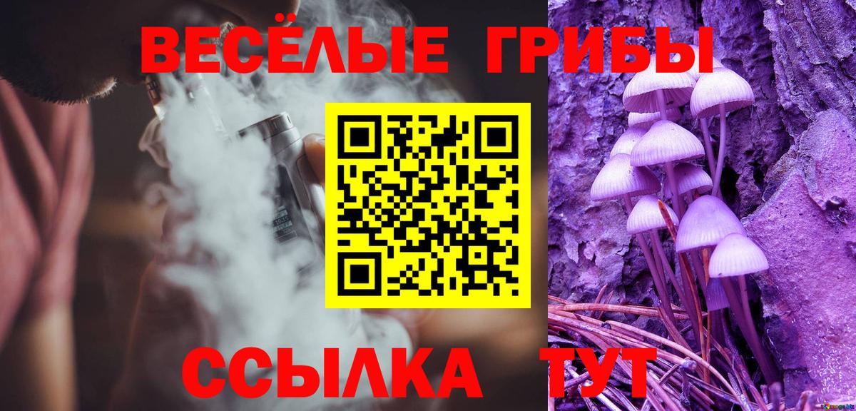 Галлюциногенные грибы ЛСД Большой Камень