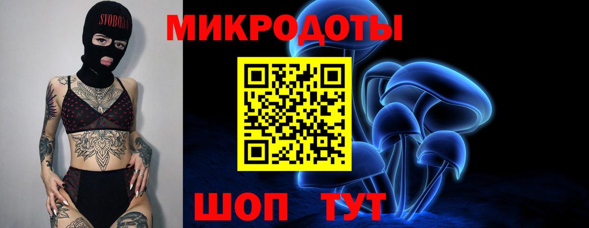 Галлюциногенные грибы Magic Shrooms  где найти наркотики  Псилоцибиновые грибы Psilocybe  Большой Камень  Вход с VPN 